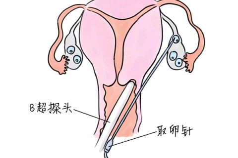 http://wenzhou.huochezhan.net/post/205.html|温州供卵助孕