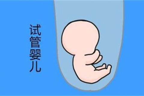 培养温州捐卵宝宝艺术细胞的小技巧