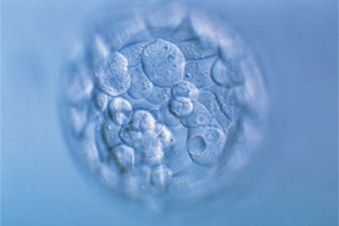 http://wenzhou.huochezhan.net/post/200.html|温州新闻中心